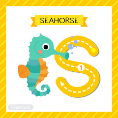 Letter S uppercase tracing. Cute Seahorse