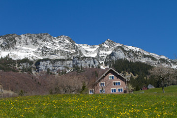 Amden, Walensee und Alpen