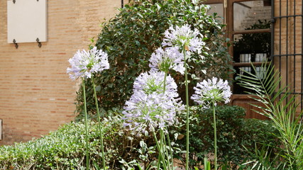 Natur in Valencia