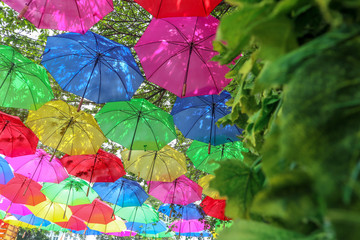 Fototapeta na wymiar Blue Pink Red Green Yellow And Colourfull Umbrella Hang Over on the top or above As Decoration or Background and Grass Angle at beach office and garden