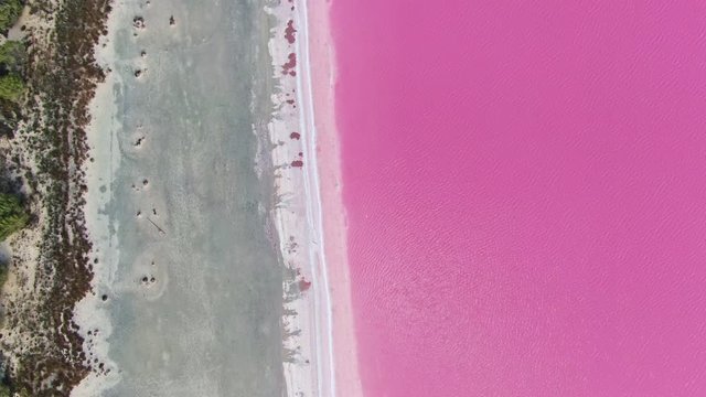 Aerial high angle drone view footage of Loch Iel, also called Pink Lake, near the village of Dimboola in Victoria, Australia. The pink color results from red pigment secreted by microalgae in summer.