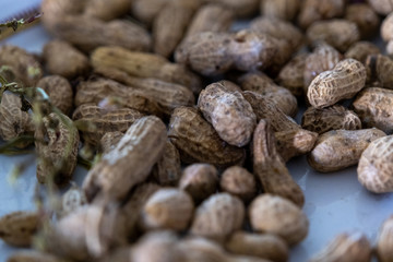 Close up of boiled peanuts with blurred background and selected focus