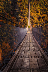 Gaierlay suspension bridge