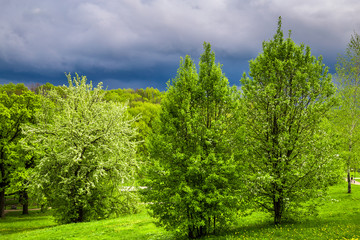 Rural spring landscape. Green lawn with beautiful trees in the park before the rain. Storm clouds, forest, road through green meadow.
