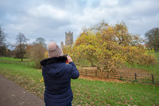 Woman seen dressed in winter weather clothing aiming her mobile phone with the aim to taking a picture of a large tree in front of Ely cathedral.
