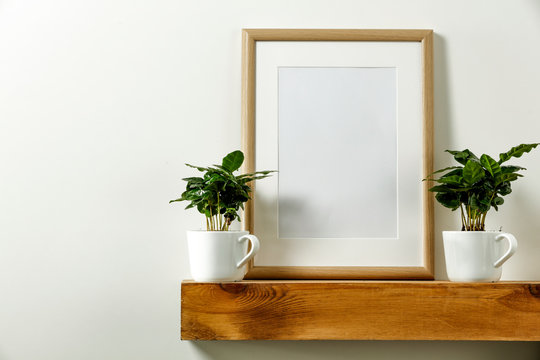 Wooden old shelf of free space for your decoration and white cups of coffee plant. 