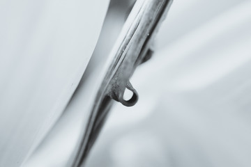 Naklejka premium closeup of faucet