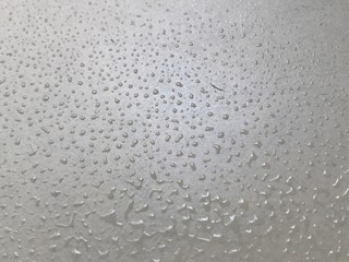 Vegetables and fruits