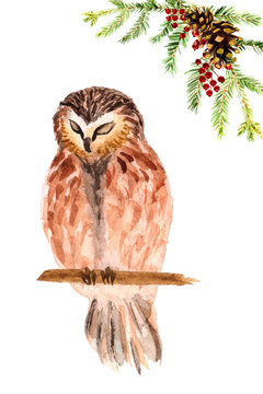 Watercolor hand-drawn sleeping forest owl isolated on a white background