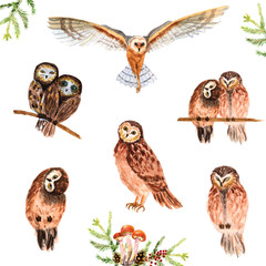 Watercolor hand-drawn set of forest owls isolated on a white background