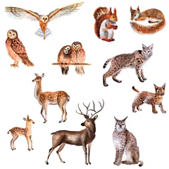 Fotobehang Bosdieren Aquarel handgetekende set van bosdieren geïsoleerd op een witte achtergrond