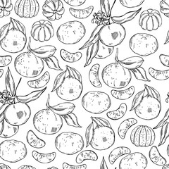 Hand drawn tangerines on white background. Vector seamless pattern