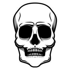 illustration of human skull isolated on white background. Design element for logo, label, badge, sign. Vector illustration
