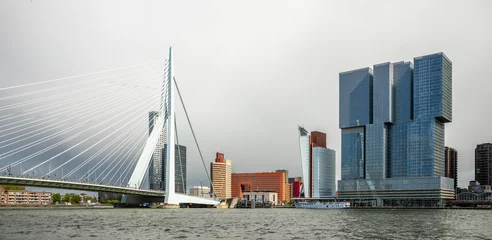 Foto op Plexiglas Erasmus Bridge and downtown skyscrapers at the embankment of Maas river, Rotterdam. The Netherlands © vadim.nefedov