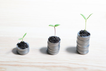 Idea money growing concept. Business success concept. Trees growing on pile of coins money