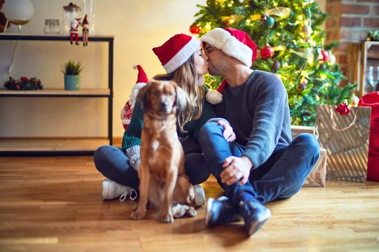 Young beautiful couple smiling happy and confident.. Sitting on the floor wearing santa claus hat hugging dog around christmas tree at home