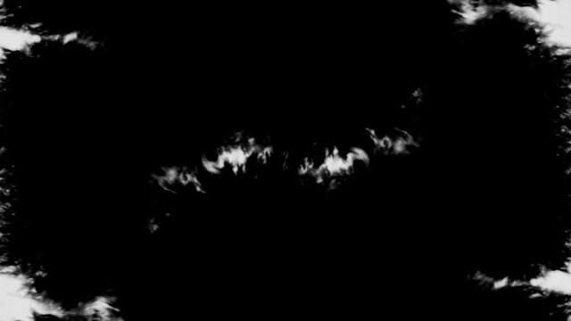 Blooming runing of black watercolor ink drop transition on white background , effect for natural moving ink vdo footage transition concept