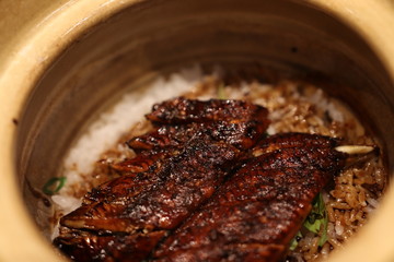 Unagi