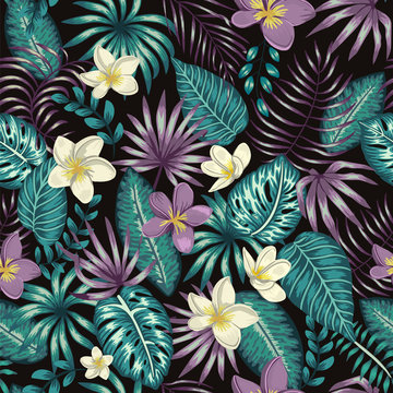 Vector seamless pattern of emerald green tropical leaves with white and purple plumeria flowers on black background. Summer or spring repeat tropical backdrop. Exotic jungle ornament.. © Lexi Claus