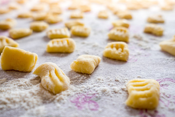 Fototapeta na wymiar display of fresh traditional homemade italian gnocchi pasta on table cloth with flour with soft natural light