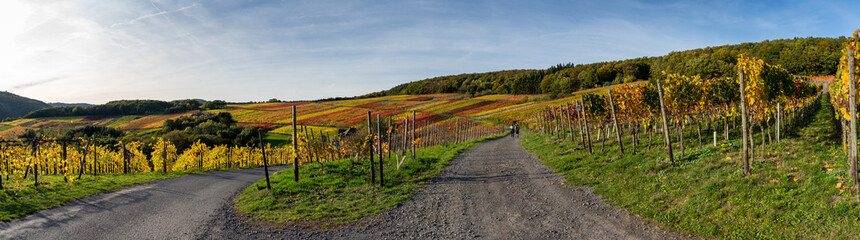 Fototapeta na wymiar Indian summer on the red wine trail in the Ahr valley