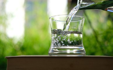 glass of water on green background of leaves