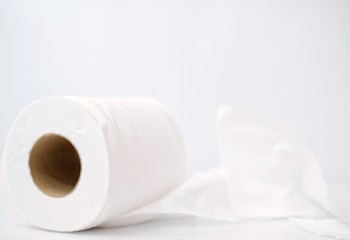 roll of toilet paper