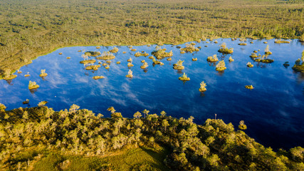 Island in the swamp.