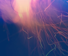 Hintergrund im Blau Leuchtend.