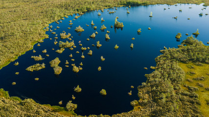 Island in the swamp.