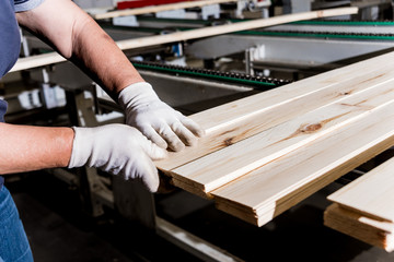 Carpenter with fibreboards at furniture factory workshop. Woodworking industry