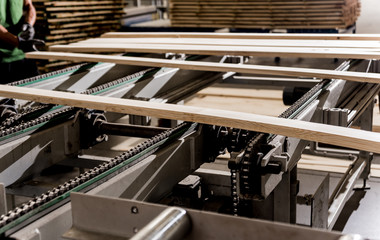 Production line of the wooden floor factory. CNC automatic woodworking machine.