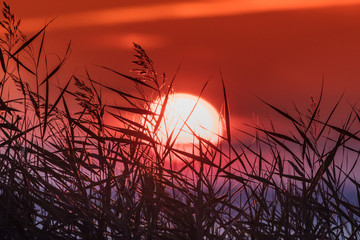 sonnenaufgang am meer