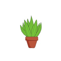 hand drawn cactus with pot vector illustration