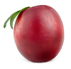 Nectarine isolated on white background