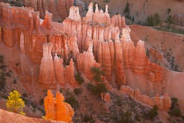 bryce canyon 11