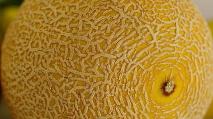 Close up einer gahlia melone (Cucumis melo)