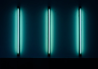 The Art of Light: Neon