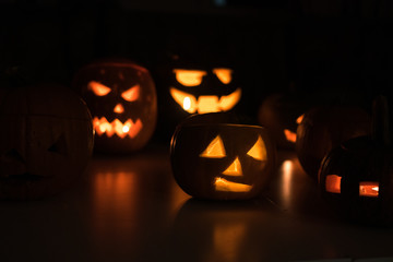Group of the halloween, tasty pumpkins in the darkness during cold october night in Poland, Wroclaw