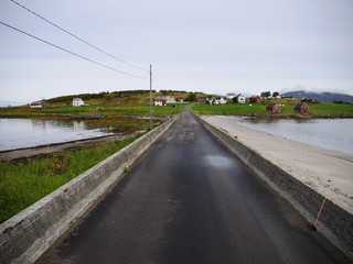 Fototapeta premium A road in the Lofoten island.