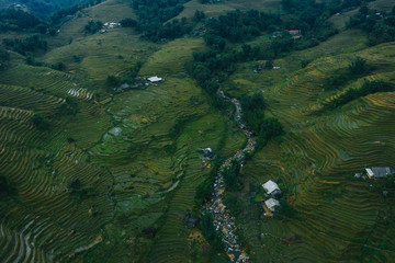 Top aerial birdseye view of harvested green rice terraces and small shacks in Sapa, North Vietnam. Shot in Autumn, October 2019