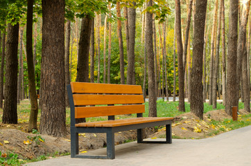 park, bench, autumn, background, road, tree,