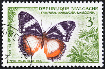 Fototapeta na wymiar A stamp printed in Madagascas dedicated to butterfly, circa 1972