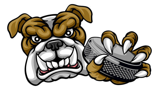 A bulldog ice hockey player animal sports mascot holding a hockey puck