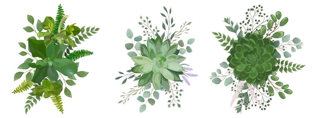 Bouquet with succulent flowers, watercolor, isolated on white. Vector Watercolour.