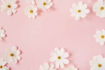 Minimal styled concept. White daisy chamomile flowers on pale pink background. Creative lifestyle, summer, spring concept. Copy space, flat lay, top view. - obrazy, fototapety, plakaty