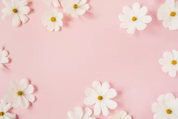 Fotobehang Minimal styled concept. White daisy chamomile flowers on pale pink background. Creative lifestyle, summer, spring concept. Copy space, flat lay, top view. © Floral Deco