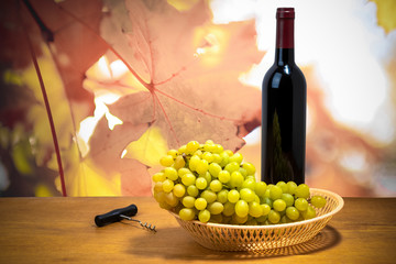 bottle of wine and grapes on nature background