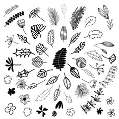 Set of hand drawn doodle ink flowers, leaves and branches. Vector stock illustration.