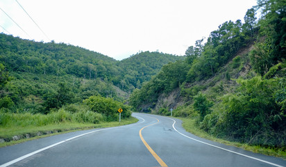 road in the forest.Beautiful nature trail